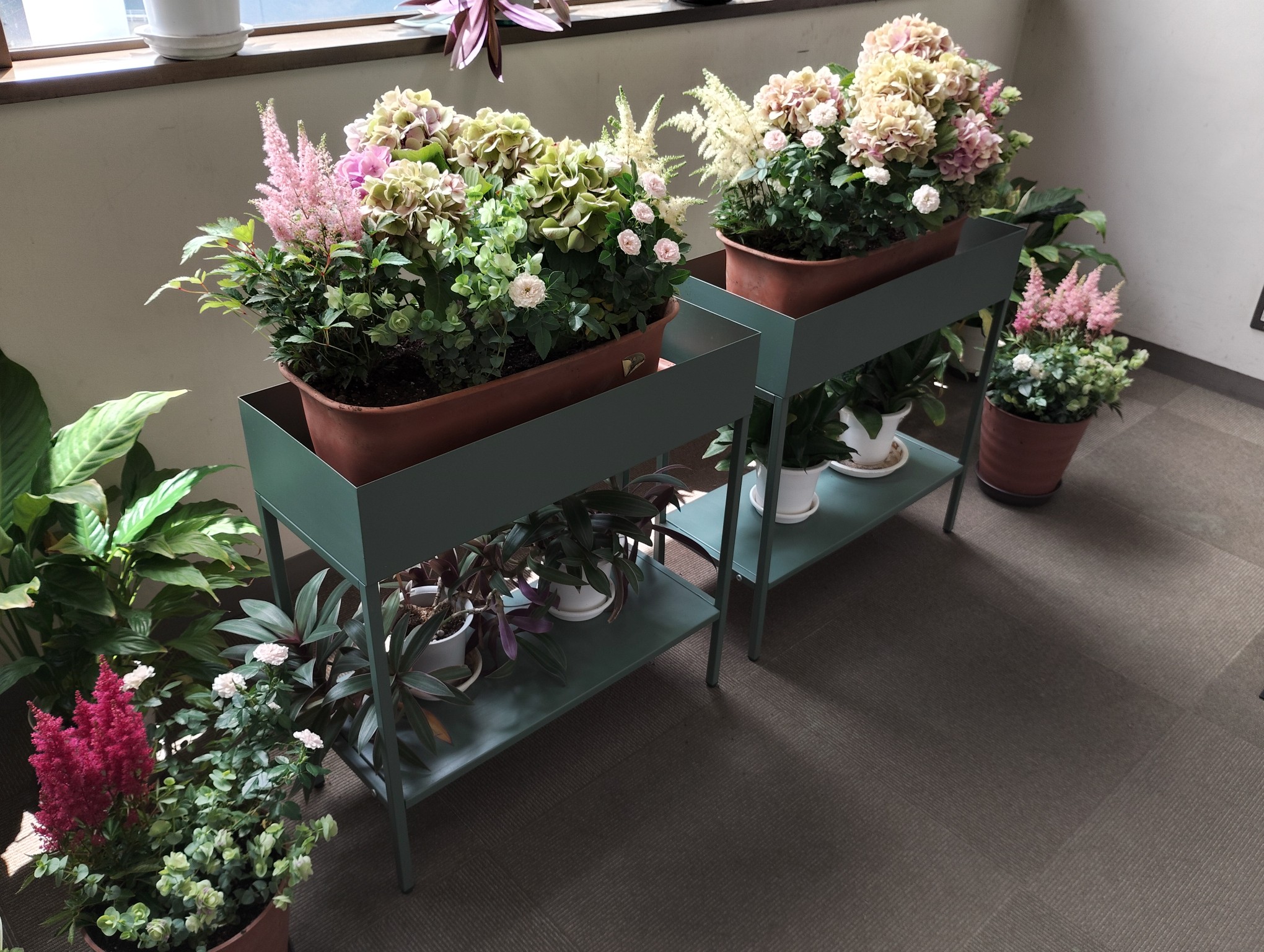 お花通信